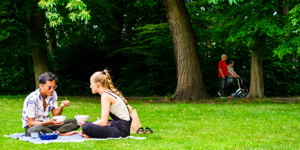 Een foto van picknick in Te Boelaarpark Borgerhout bij artikel over beheerplan park